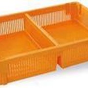 Ящик для перевозки суточных цыплят (две секции, дно перфорированное) фотография
