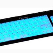 Клавиатура KB-9805L-R GEMBIRD мультимедийная, с подсветкой , черная, PS/2 фото