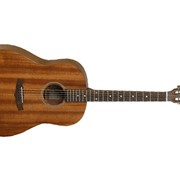 Акустическая гитара Tanglewood TW138 ASM SD (NAT) фото