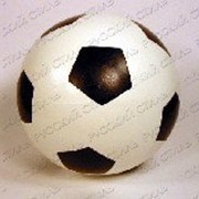 Мяч д.200мм.лакир