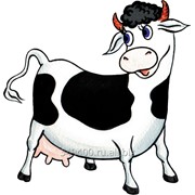Протеиновый концентрат “Щедрая коровка“ фото