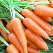 Морковь цена фото