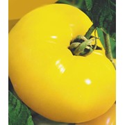 Семена томата высокорослого Гигант лимонный (20 штук) фото