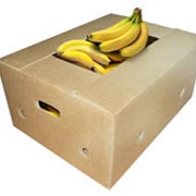 Ящик для овощей, фруктов. Ящики, тара под овощи и фрукты фото