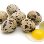 Яйца перепелиные фотография