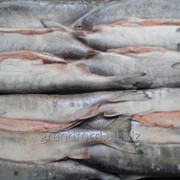 Рыба Кета ПБГ, серебро, 2-3кг, Муссон фото