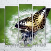Модульна картина на полотні Метелик на кульбабі код КМ100150(132)-027 фотография