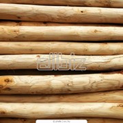 Сушка древесины фото