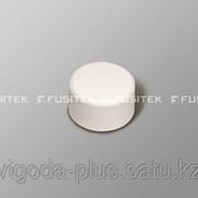 Заглушка ППР d - 40 мм “Fusitek“ фото