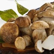 Продажа белых грибов цена
