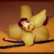 Ванилин фото
