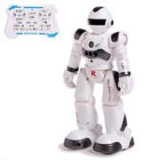 Робот-игрушка радиоуправляемый IQ BOT GRAVITONE, русское озвучивание, цвет серый фото