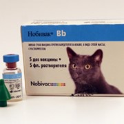 Живая сухая вакцина Нобивак Bb фото