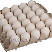 Яйца куриные пищевые столовые АВДОН категория ВС, С0, С1, С2