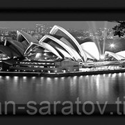 Репродукция 20х50 в707 фото