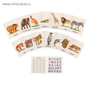 Обучающие карточки English «Зоопарк» фотография