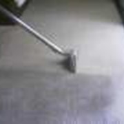 Чистка ковровых покрытий Чернигов фотография