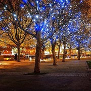 Подсветка деревьев фото
