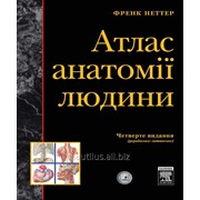 Атлас Анатомии Фрэнк Неттер (4-те укр-лат. видання, тв.обкл)