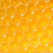 Мёд из лекарственных трав продажа, опт доставка Украина фото