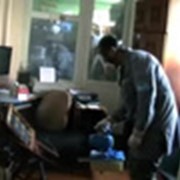 Уничтожение блох, клопов и мух фото