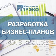 Разработка бизнес-планов