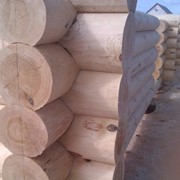 Сруб дома бани беседки фото