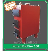 Котел твердотопливный BioFire100 фото