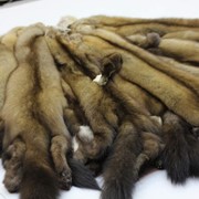 Выделка и крашение всех видов пушнины фото