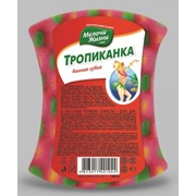 Губка банная Тропиканка 1шт Мелочи жизни 14х11х5,7 см (Украина) 0078 фото