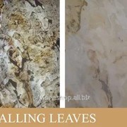 Каменный шпон “FALLING LEAVES TRANSLUCENT“ размер 122х61 см фото