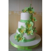 Свадебный 3-х ярусный белый торт с салатовыми орхидеями