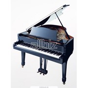 Рояли и фортепиано фото