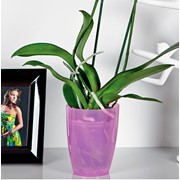 Горшок пластиковый Орхидея Ага фиолетовый прозрачный DАS 14 фотография