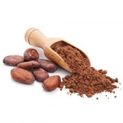 Какао порошок красное алкализированное 10-12% (PV6R) фотография