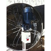 Медогонки фото