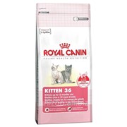 Сухой корм для котят (подходит для хорьков) Royal Canin Kitten 36 0,4 кг фото