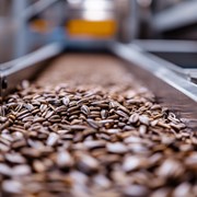 Семечки полосатые оптом в наличии, импортные Китай фото