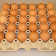 Яйцо куриное в ассортименте фото