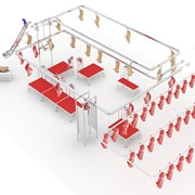 Линия убоя скота фото