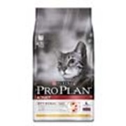 Корм Pro Plan Adult для взрослых кошек с курицей и рисом 10 кг фотография