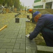 Укладка тротуарной плитки Киев, Украина, цена фото