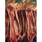 Мясо свинина, говядина полутуши охлажденное, заморозка фото
