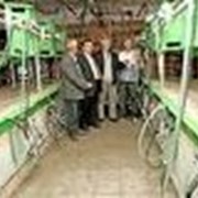 Монтаж оборудования для животноводческих и молочных ферм, молокопроводов АДМ, консультации фото