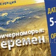 Конференция «Зерно Причерноморья-2017» фото