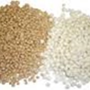 Покупка зерновых: ячмень, рожь, пшеница, кукуруза фото