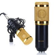 Микрофон BM-800 фото