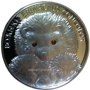 Серебряная монета “Ёжики“ фото