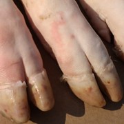 Ножки свиные фотография