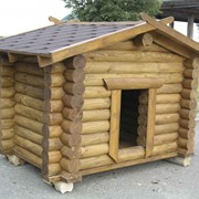 Строительство домов деревянных домов, изготовление мебели из древесины деревьев хвойных пород. фотография